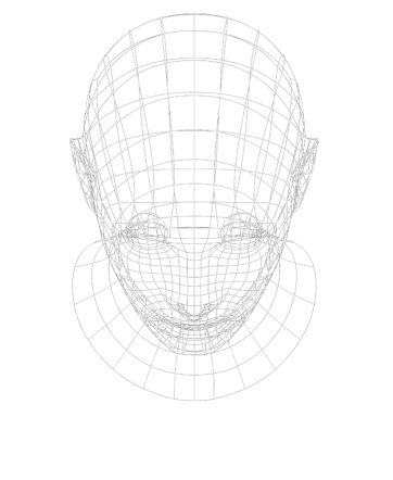 Wireframe of a person's head